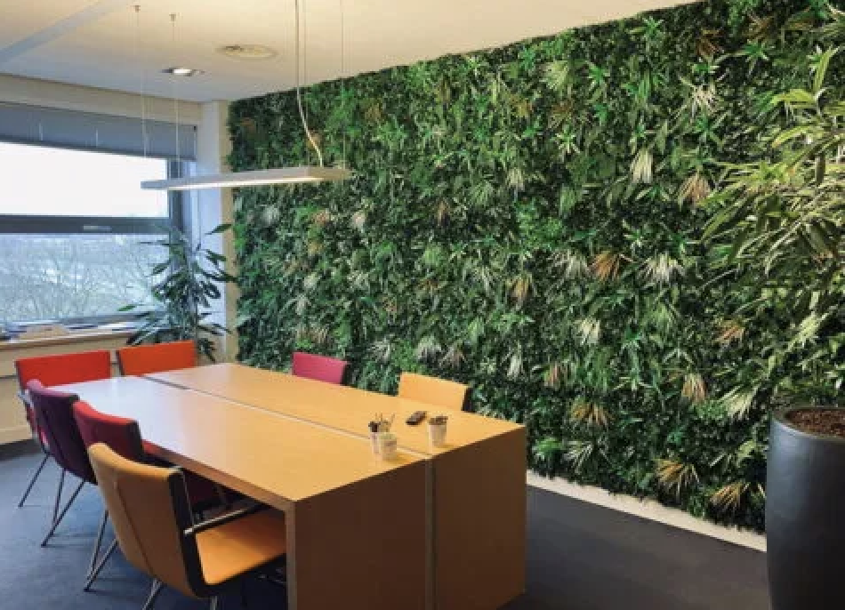 Kunsthaagvoordeel.nl: marktleider in onderhoudsvrij groen