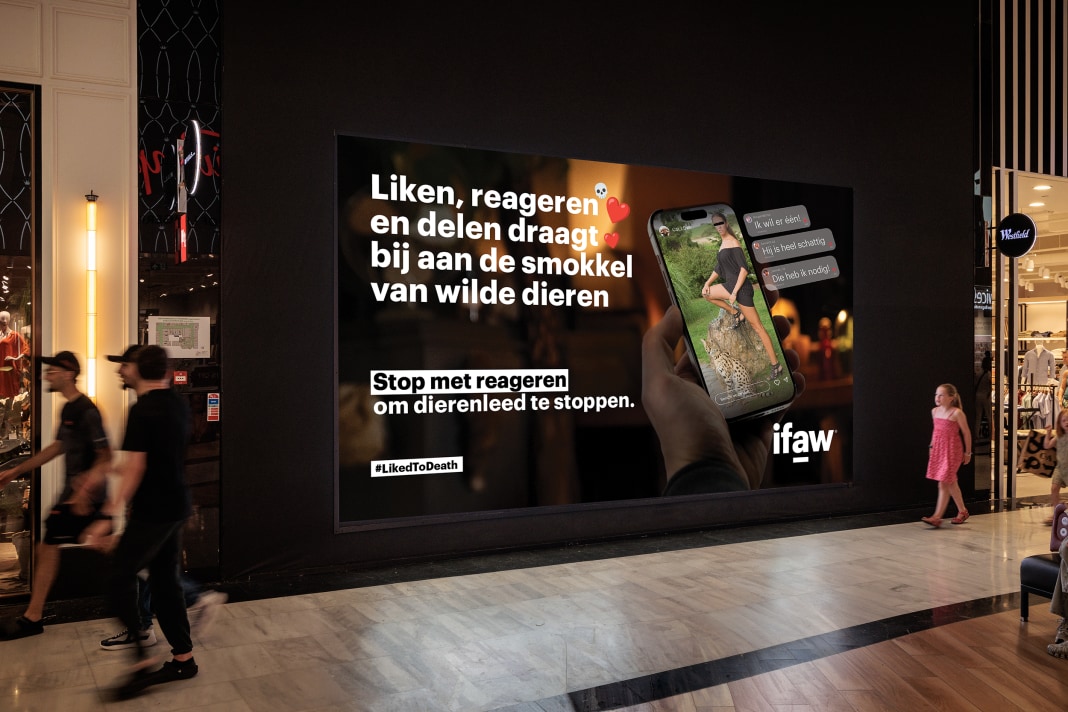 IFAW-campagne op digitale schermen in zes Nederlandse steden