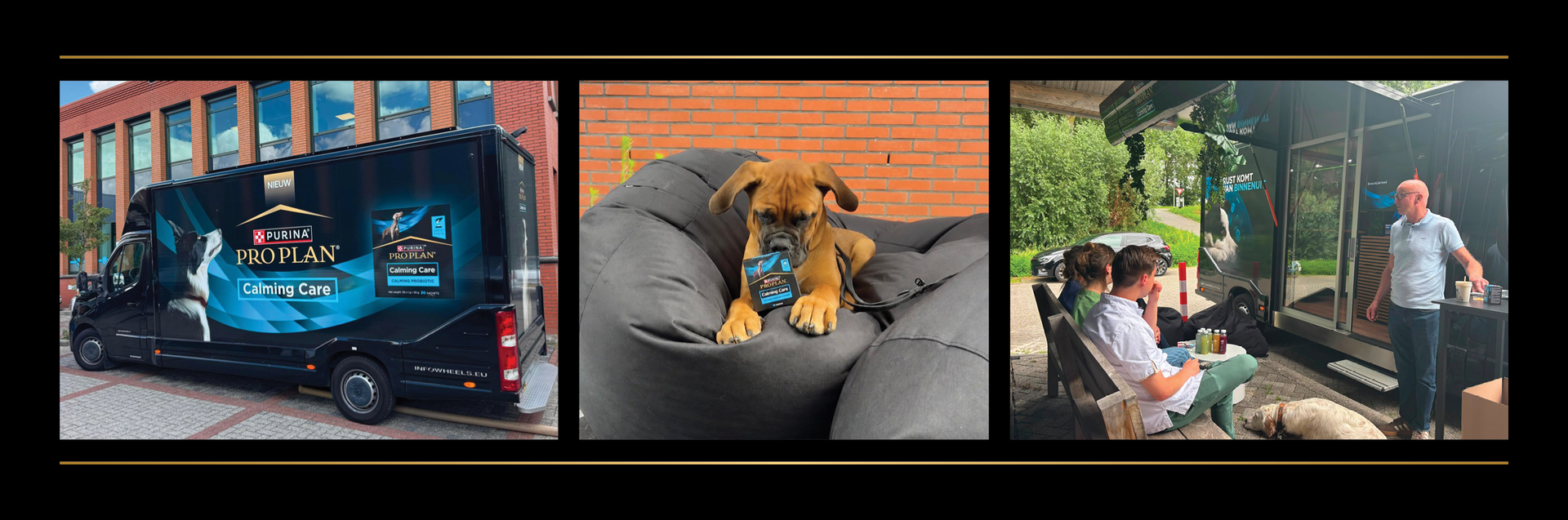 Purina brengt rust naar dierenartspraktijken met interactieve roadshow