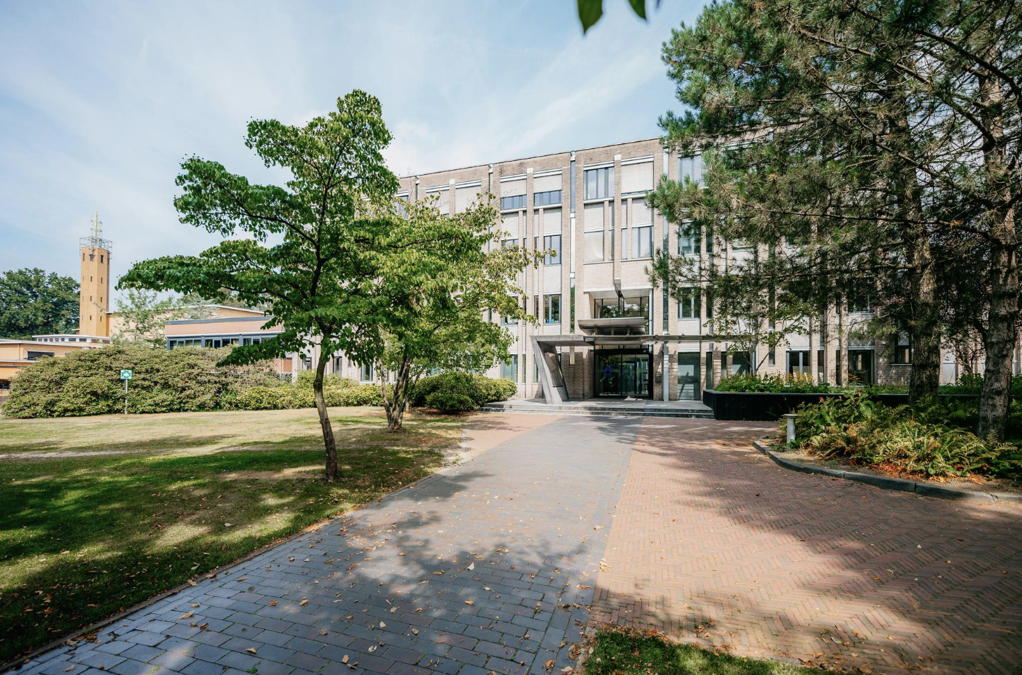 Nieuwe overkoepelende directie trekt Talpa Network en Studios