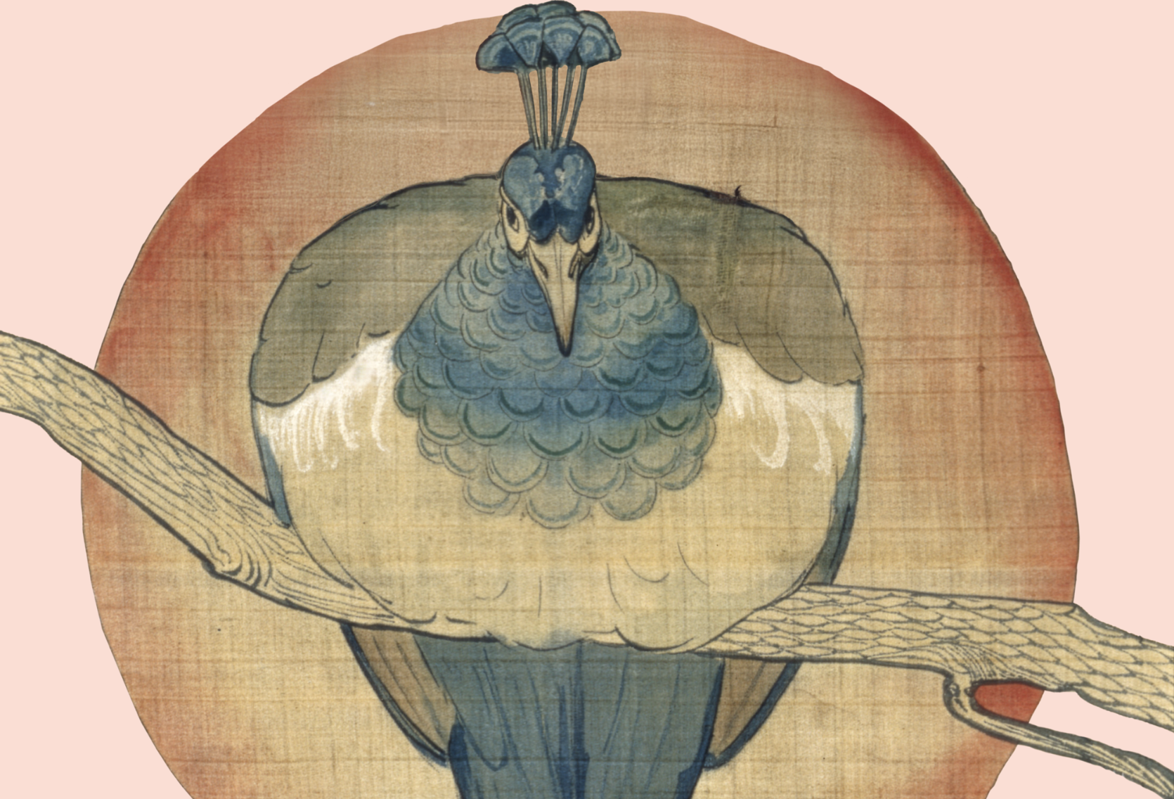 Gratis open dag Drents Museum De Buitenplaats bij start tentoonstelling Beauty of the Beast