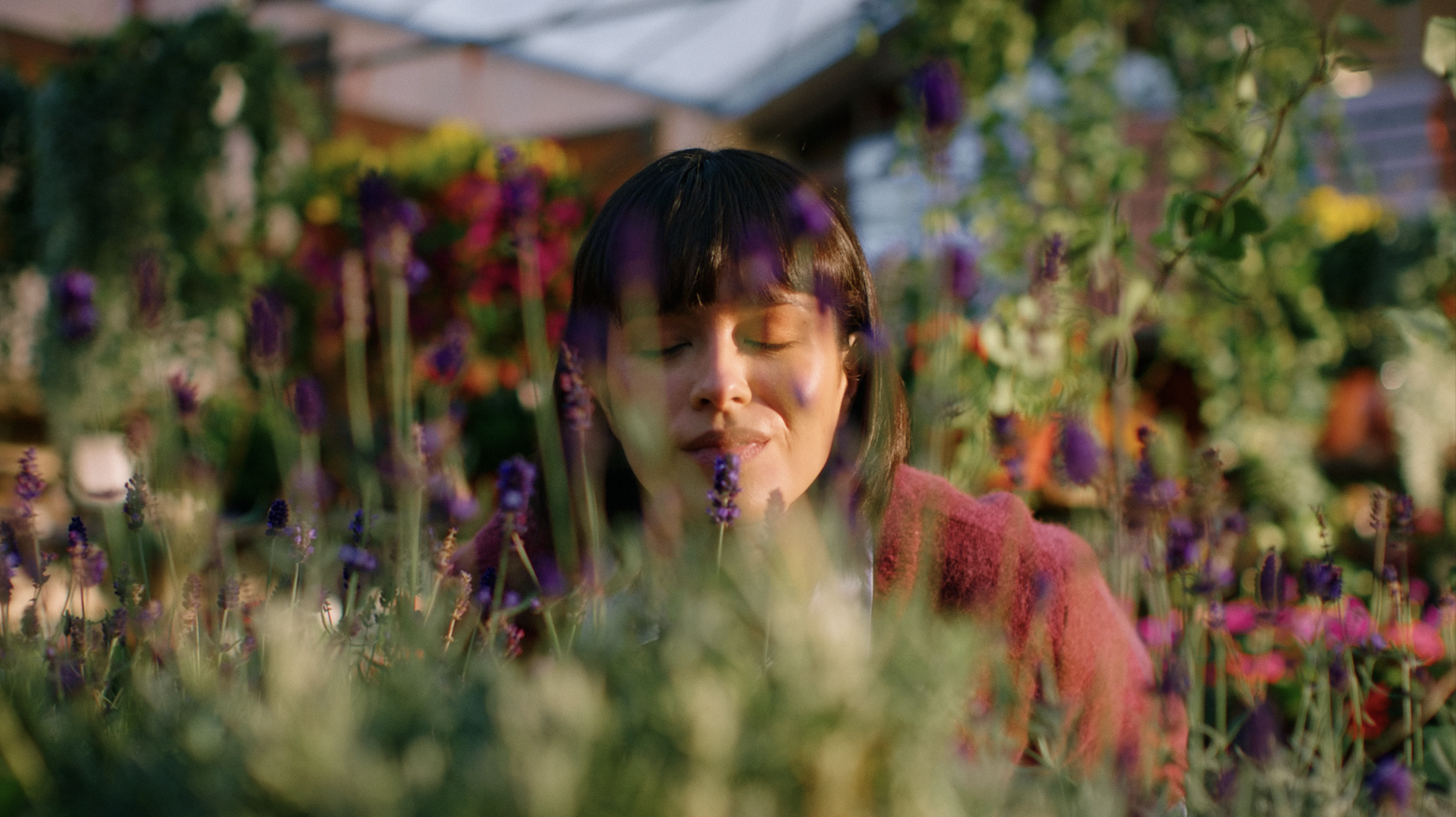 Intratuin zet in op verwondering met nieuwe merkcampagne van Persuade
