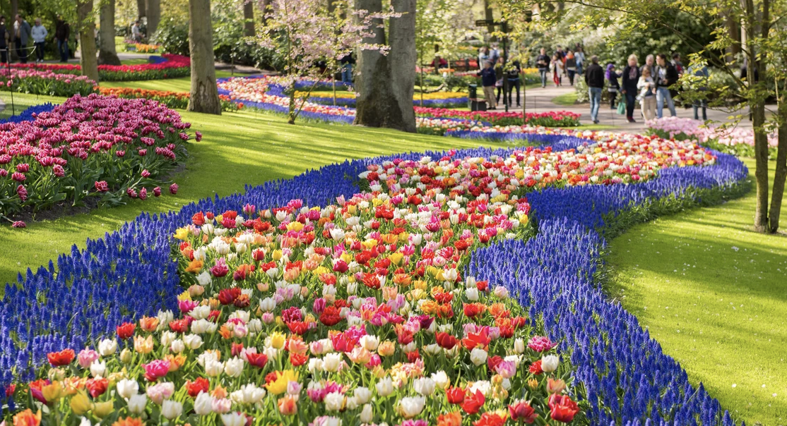 Directe Keukenhof-shuttlebus vanuit Den Haag van start