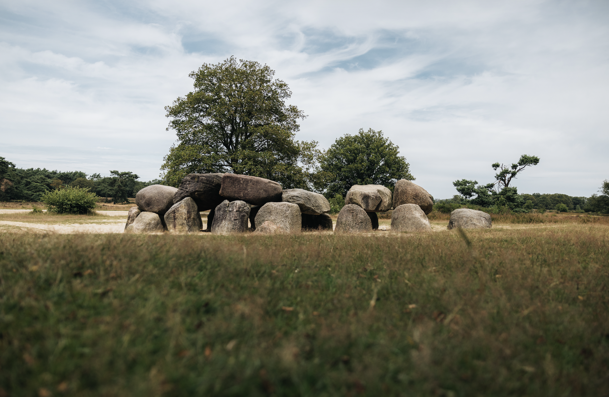 Marketing Drenthe en Hagens PR vragen om natuurinclusieve recreatie