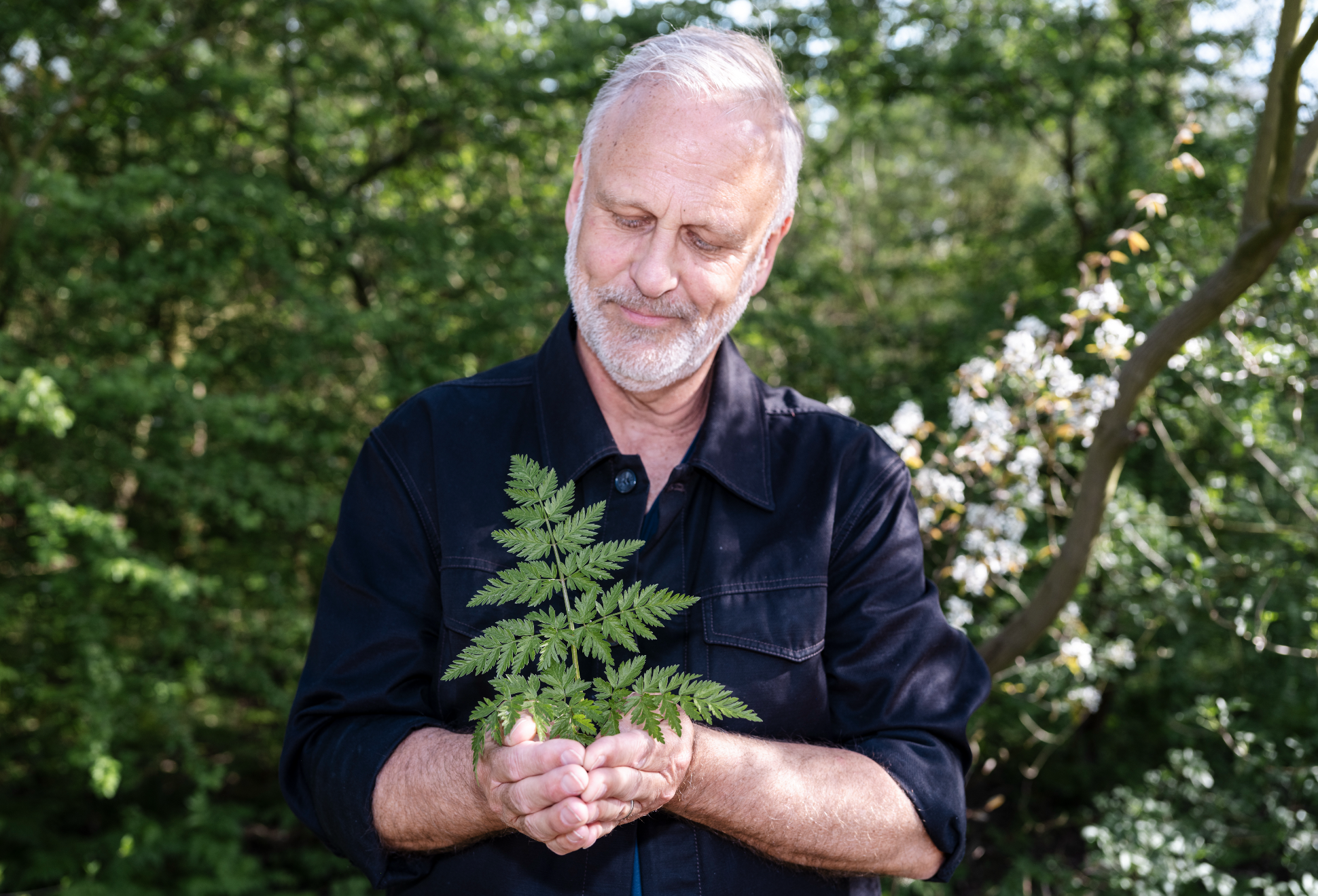 Aad Kuijper spreekt zich uit: 