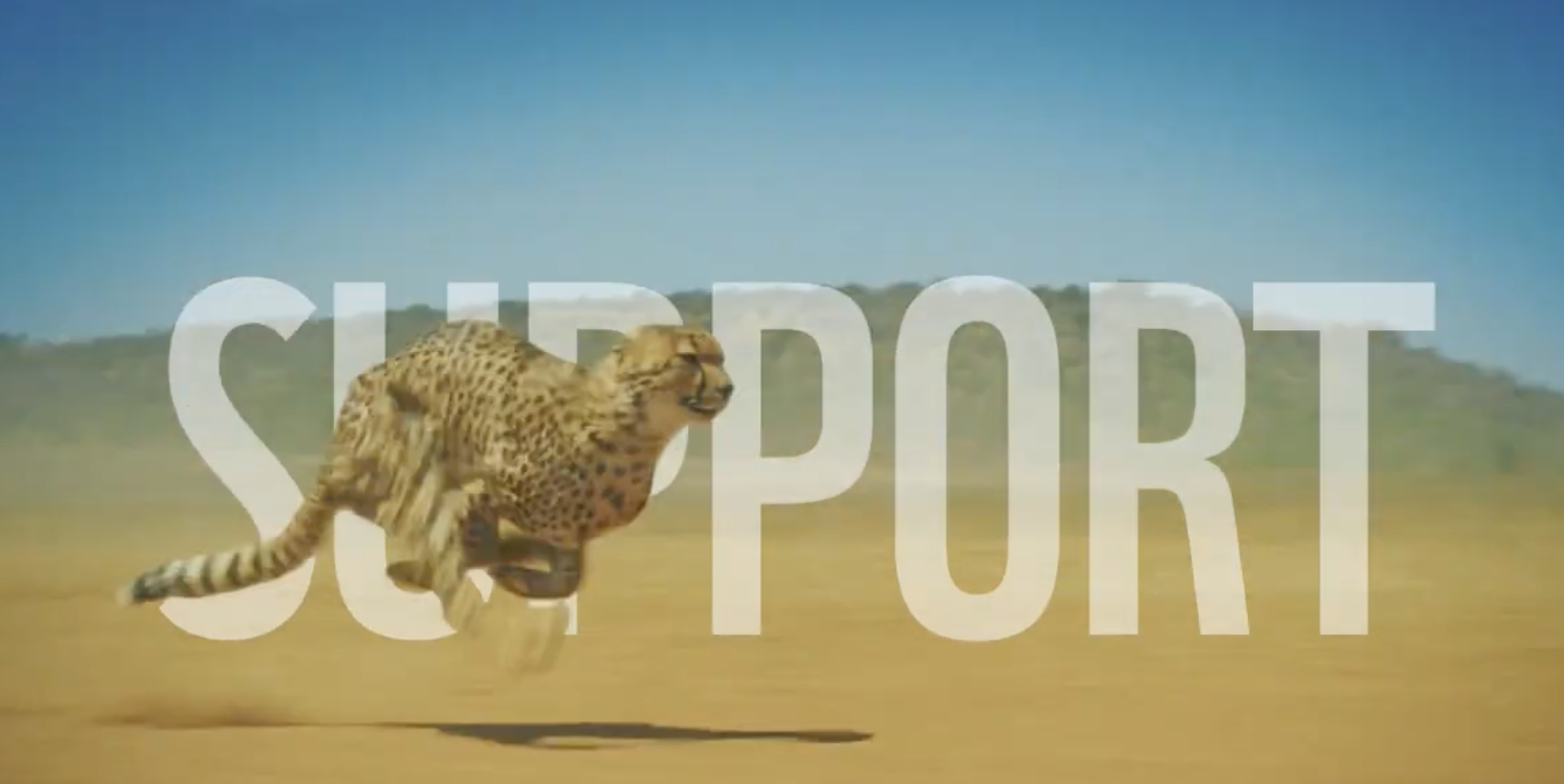 WWF biedt hoopvol perspectief met hernieuwde merkpositionering