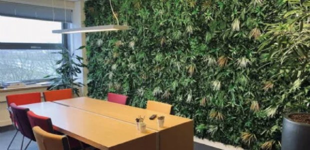 Kunsthaagvoordeel.nl: marktleider in onderhoudsvrij groen