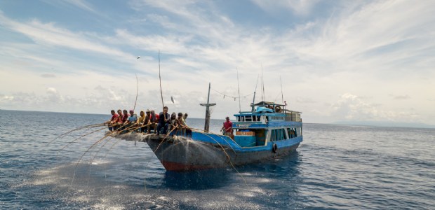 Fish Tales verdient derde nominatie Coolest Dutch Brands 2026