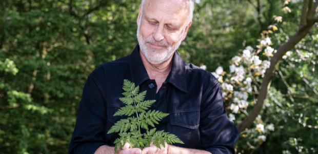 Aad Kuijper spreekt zich uit: 