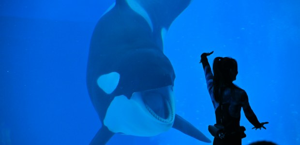 Dierenleed uit het aanbod: Sunweb zet koerswijziging in