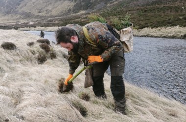 Sumthing haalt €1,5 miljoen op voor natuurherstel 